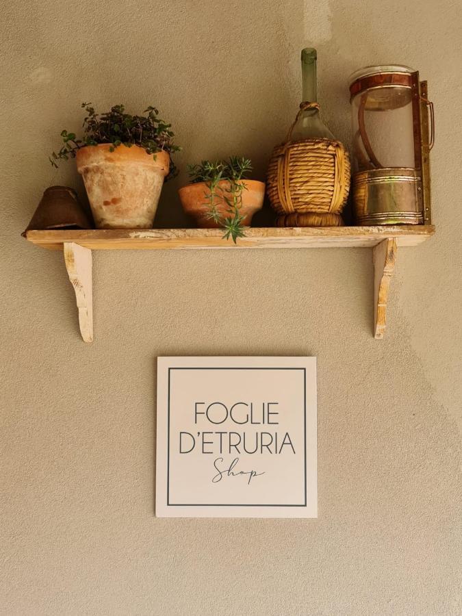 Il Pievano B&B Campiglia Marittima Exteriör bild